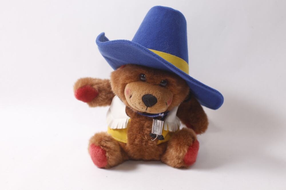 1995 Grand Ole Opry Hooch the Bear Plush Opryland Collectible ~ 260718-DISH 25